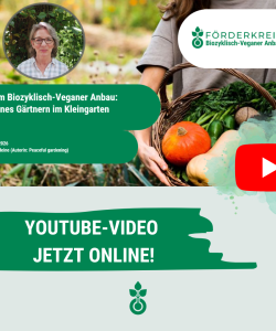 YOUTUBE-VIDEO JETZT ONLINE!